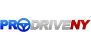 Professional Driving School