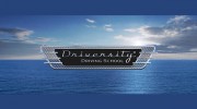 Driversity Driving School
